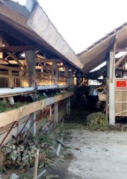 kandang annasikah 2